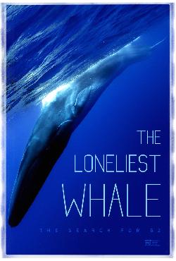THE LONELIEST WHALE: THE SEARCH FOR 52